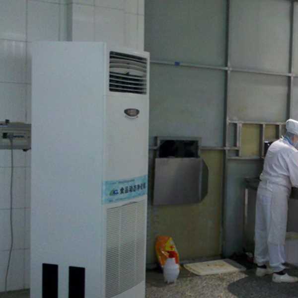 聊城食品正负离子空气杀菌器